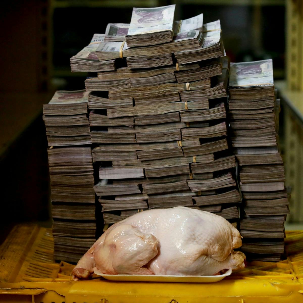 pollito en venezuela